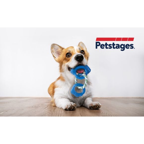Petstages Orka Dentalinks Puppy Chew Toy for Small Breeds & Puppy: NWT - Picture 5 of 9